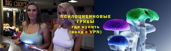 ПСИЛОЦИБИНОВЫЕ ГРИБЫ Абаза