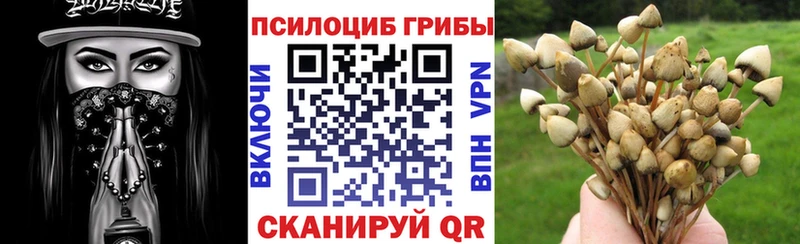 Галлюциногенные грибы Magic Shrooms  Цоци-Юрт 
